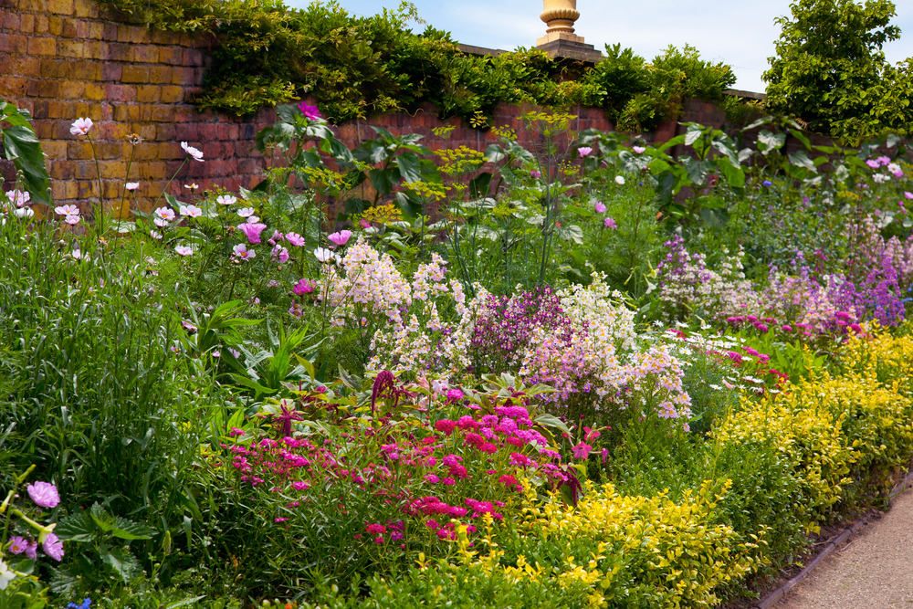 Our Top Tips for a Healthy Garden!