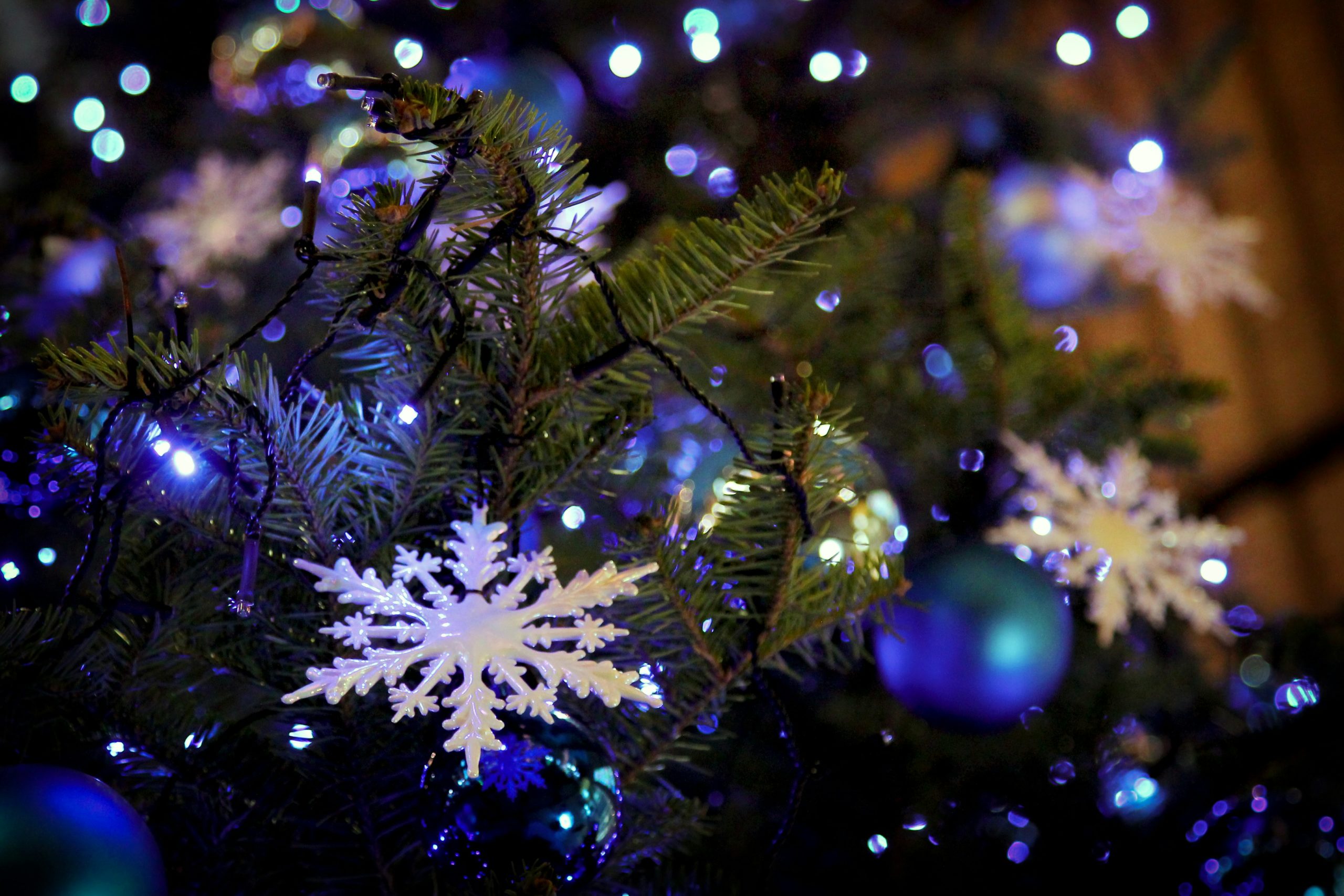 Get festive and support local causes with Plumbs’ Dairy at Presents Galore!